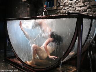 Это что то новенькое