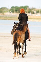 Наездница судного дня